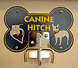CANINE HITCH